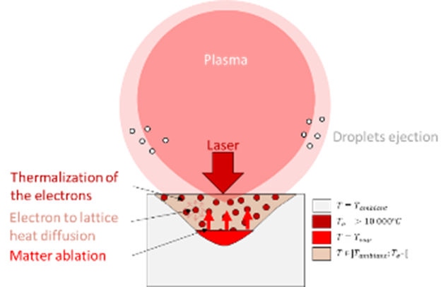Physical phenomena involved in the ultrashort laser ablation