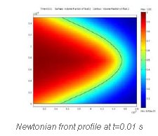 Newtonian front profile at t=0.01 s